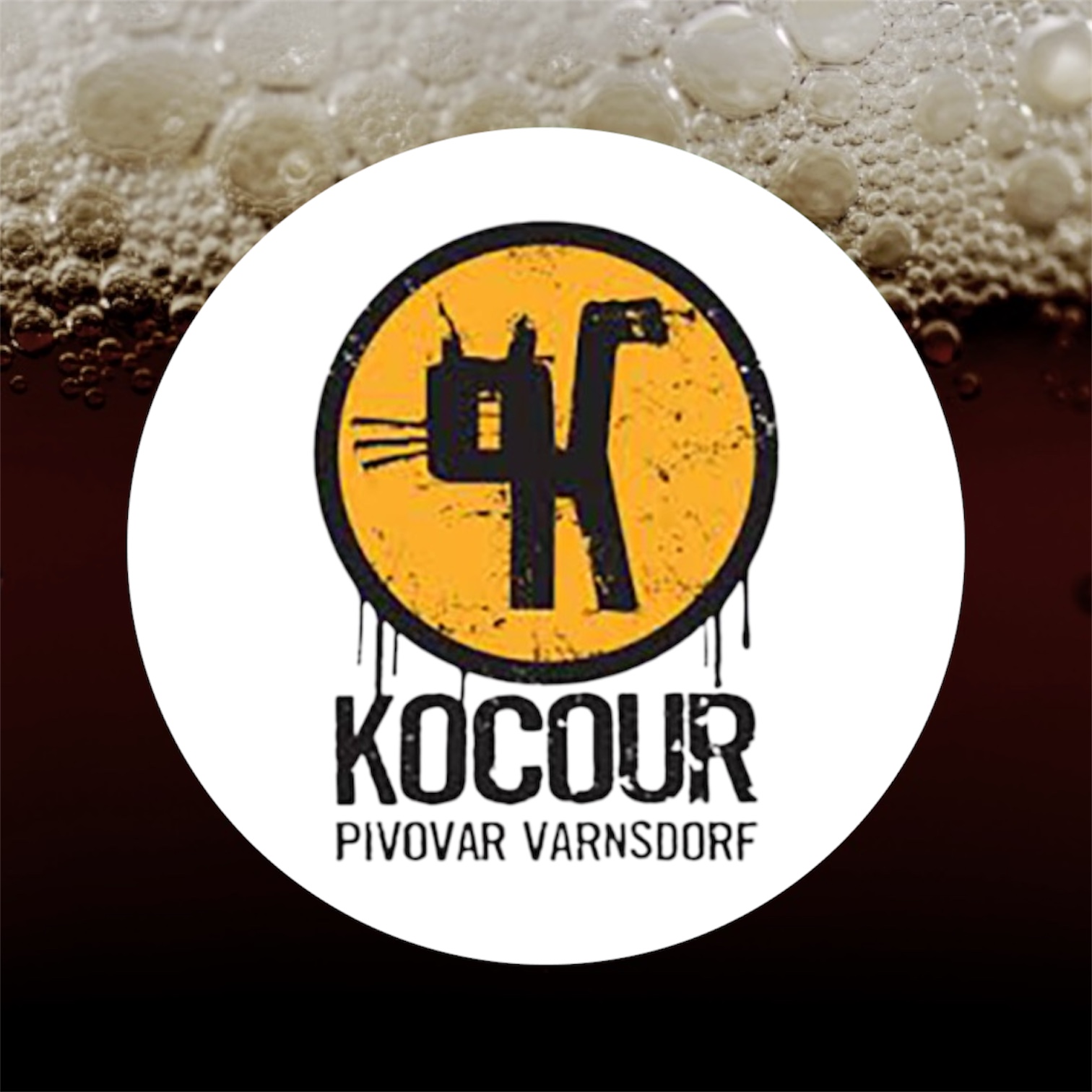 Jahodový Porter 14° (Kocour)