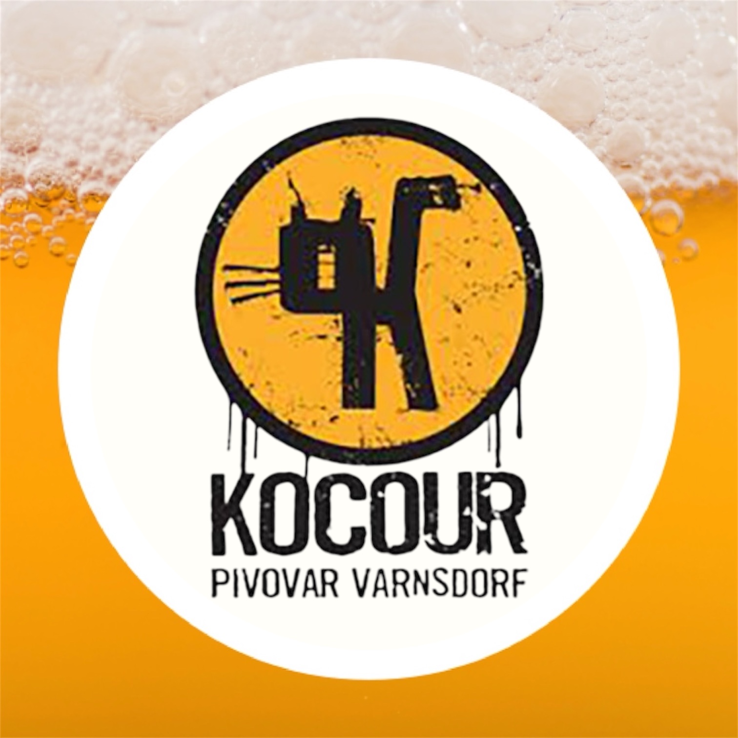 Samurai IPA 14° (Kocour)
